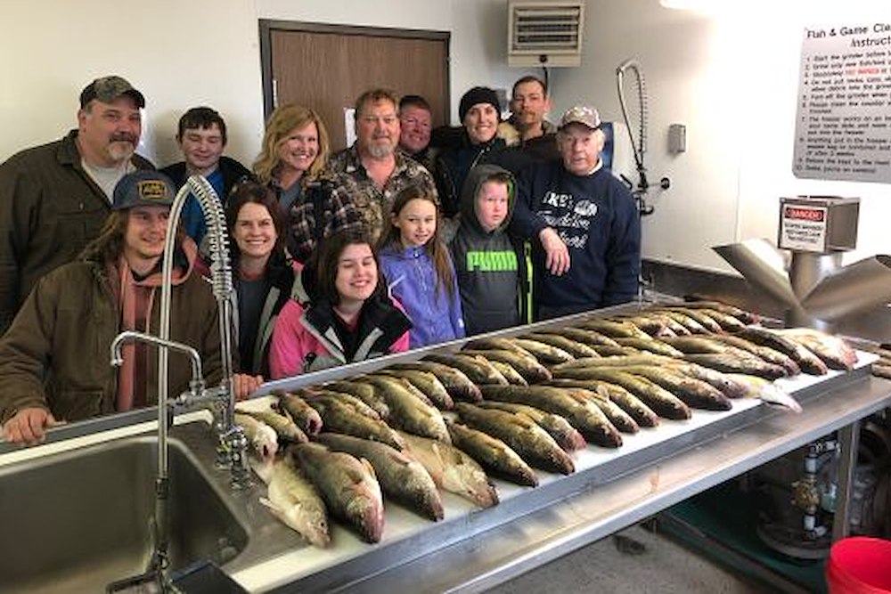 group fish