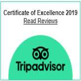 Tripadvisor Reviews